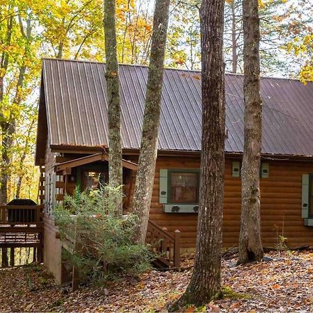 Mountain Time Cabin, Hot Tub, Fire Pit, Fireplace Villa Блу Ридж Екстериор снимка